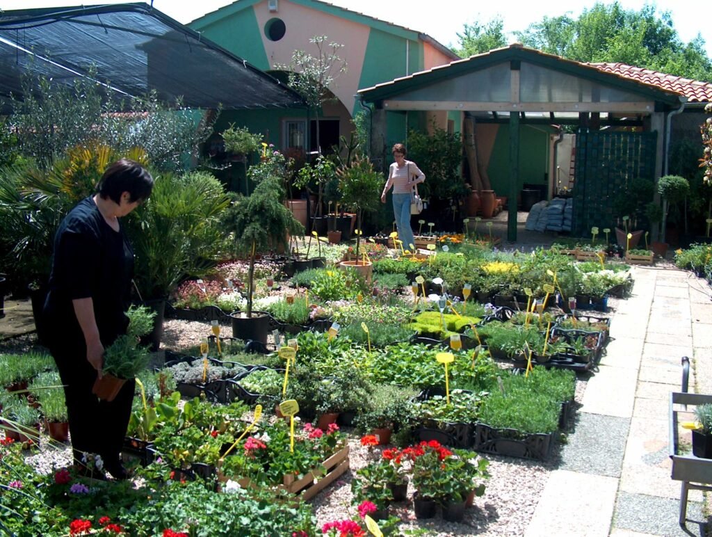 P&B Hortikultura, ukrasne biljke, ornamental plants, ornamental gardens, vrtni centar, garden centar, Gartenzentrum, Bäumeschule, Zierpflanzen, Krk, Malinska, Petar Vrgoc, Blazenka Vrgoc; ORNAMENTAL PLANT NURSERY, RASTLINJAK, DREVESNICA, FAISKOLA, ZAHRADNICTVI, ZAHRADNICTVO, VIVAIO, BAUMSCHULE, BOOMKWEKERIJEN