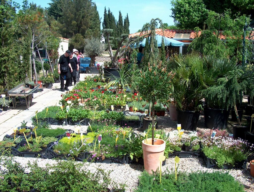 P&B Hortikultura, ukrasne biljke, ornamental plants, ornamental gardens, vrtni centar, garden centar, Gartenzentrum, Bäumeschule, Zierpflanzen, Krk, Malinska, Petar Vrgoc, Blazenka Vrgoc; ORNAMENTAL PLANT NURSERY, RASTLINJAK, DREVESNICA, FAISKOLA, ZAHRADNICTVI, ZAHRADNICTVO, VIVAIO, BAUMSCHULE, BOOMKWEKERIJEN