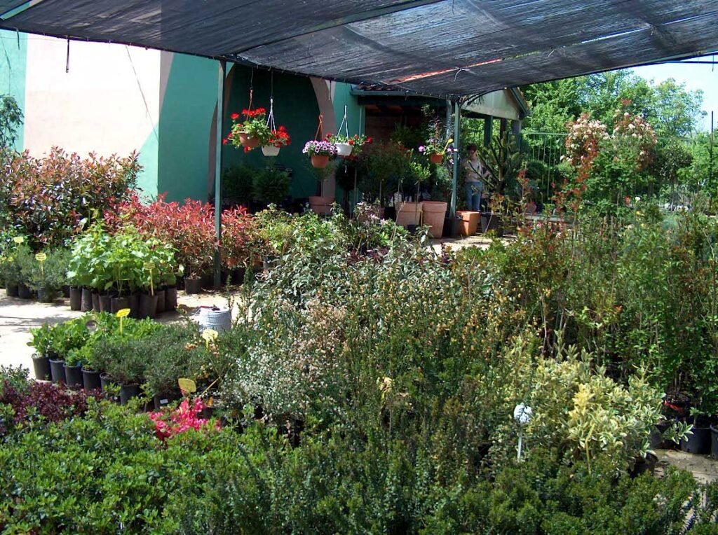 P&B Hortikultura, ukrasne biljke, ornamental plants, ornamental gardens, vrtni centar, garden centar, Gartenzentrum, Bäumeschule, Zierpflanzen, Krk, Malinska, Petar Vrgoc, Blazenka Vrgoc; ORNAMENTAL PLANT NURSERY, RASTLINJAK, DREVESNICA, FAISKOLA, ZAHRADNICTVI, ZAHRADNICTVO, VIVAIO, BAUMSCHULE, BOOMKWEKERIJEN