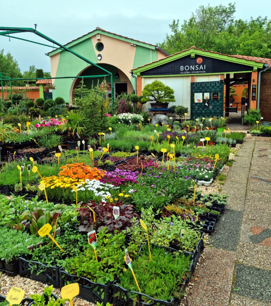 P&B Hortikultura, ukrasne biljke, ornamental plants, ornamental gardens, vrtni centar, garden centar, Gartenzentrum, Bäumeschule, Zierpflanzen, Krk, Malinska, Petar Vrgoc, Blazenka Vrgoc; ORNAMENTAL PLANT NURSERY, RASTLINJAK, DREVESNICA, FAISKOLA, ZAHRADNICTVI, ZAHRADNICTVO, VIVAIO, BAUMSCHULE, BOOMKWEKERIJEN