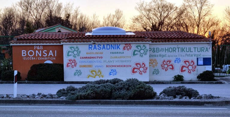 P&B Hortikultura, ukrasne biljke, ornamental plants, ornamental gardens, vrtni centar, garden centar, Gartenzentrum, Bäumeschule, Zierpflanzen, Krk, Malinska, Petar Vrgoc, Blazenka Vrgoc; ORNAMENTAL PLANT NURSERY, RASTLINJAK, DREVESNICA, FAISKOLA, ZAHRADNICTVI, ZAHRADNICTVO, VIVAIO, BAUMSCHULE, BOOMKWEKERIJEN